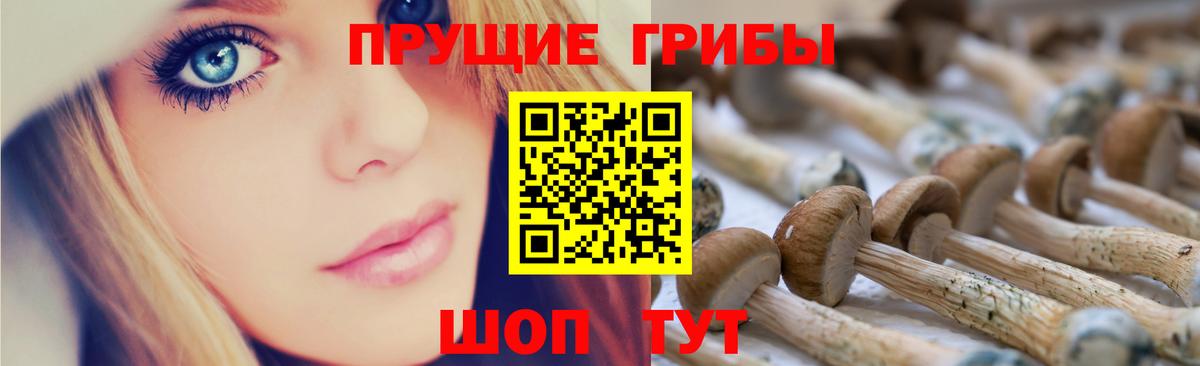 Тюмень  Псилоцибиновые грибы Psilocybine cubensis  где можно купить наркотик  Вход с VPN  Псилоцибиновые грибы MAGIC MUSHROOMS 